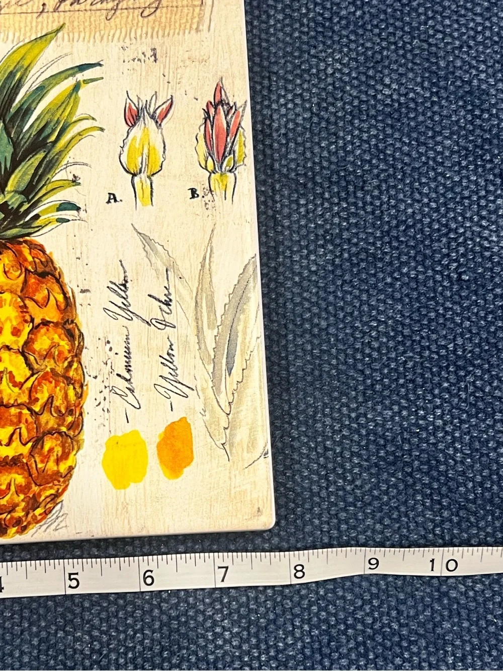 Pineapple Study Kitchen Tile Kitchen Conversions